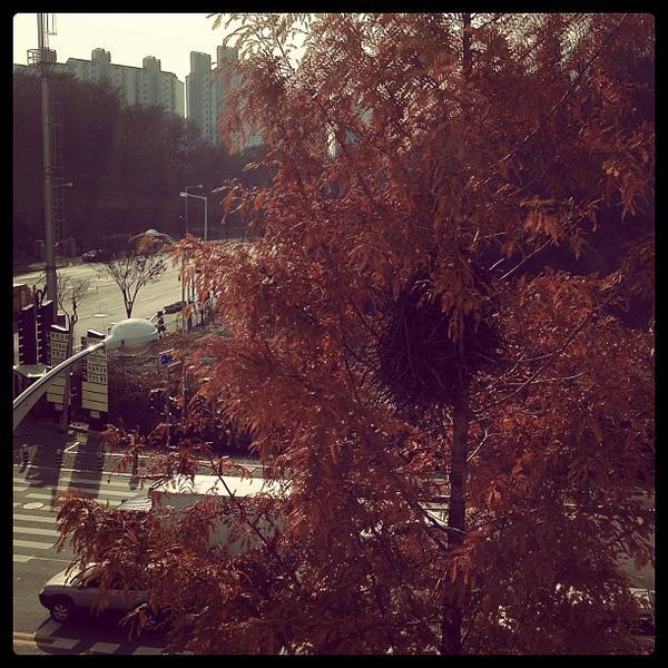 Photo taken at E-MART-Suji by Yue K. on 12/5/2011