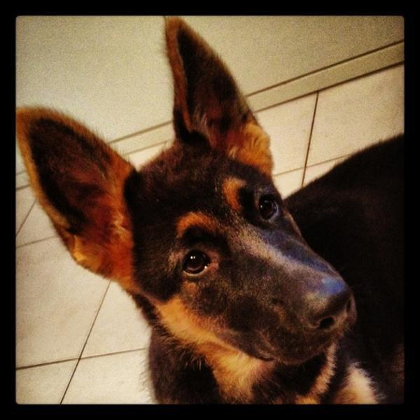 Photo taken at Bennet by Ansel R. on 11/2/2012