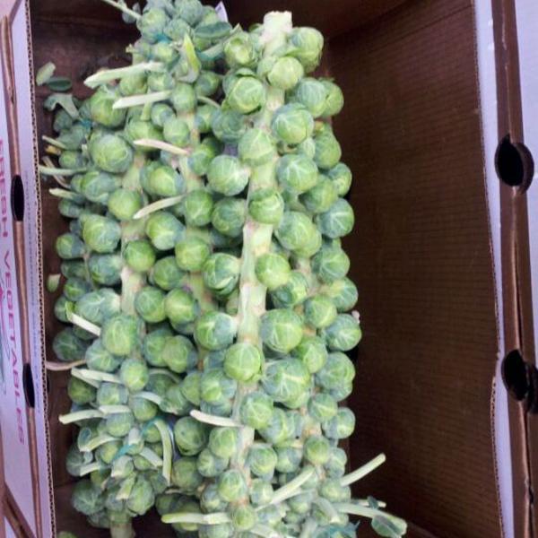 Photo taken at Trader Joe's by Bryant B. on 11/13/2011-维吉尼亚州维珍妮亚海滩希尔托普地区503号 Photo taken at Trader Joe's by Bryant B. on 11/13/2011