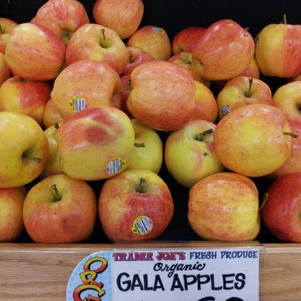 Photo taken at Trader Joe's by Jack D. on 2/2/2012