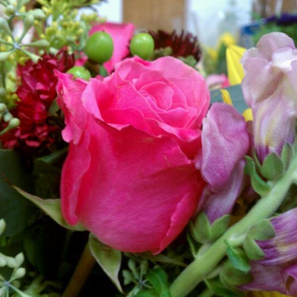 Photo taken at Trader Joe's by Jason K. on 11/25/2012