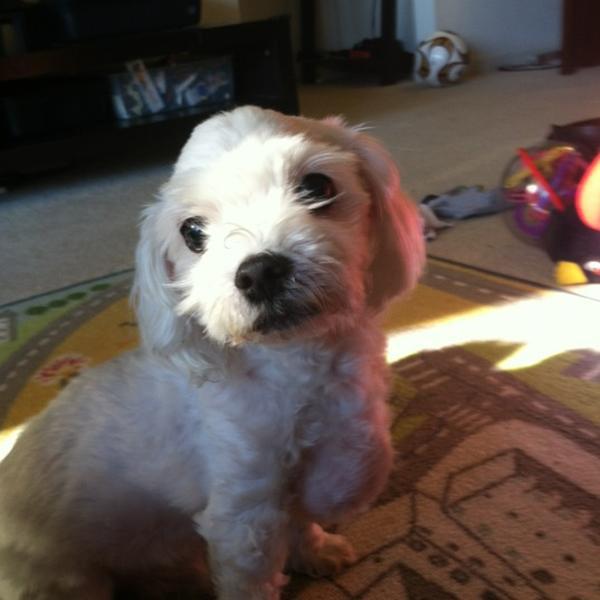 Photo taken at Trader Joe's by Sunyoung P. on 3/27/2012