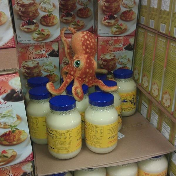 Photo taken at Trader Joe's by Eitan T. on 6/8/2014