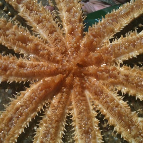 Photo taken at PAK'nSAVE by Trevor L. on 1/17/2012