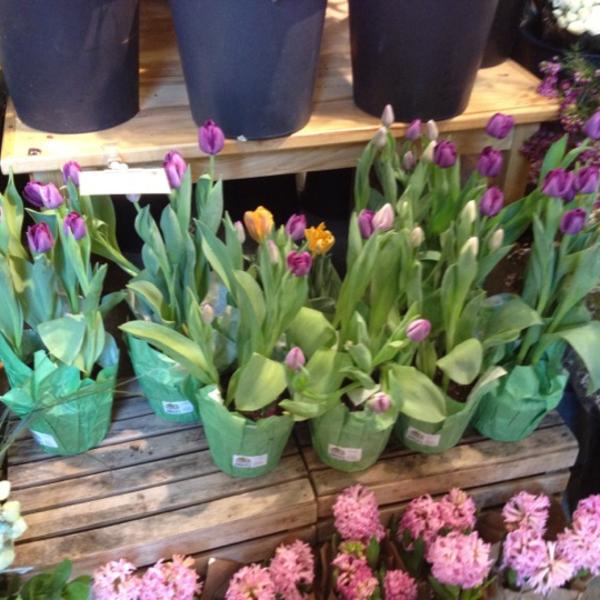 Photo taken at Whole Foods Market by William E. on 4/14/2012-俄亥俄州大学锡达路13998号 Photo taken at Whole Foods Market by William E. on 4/14/2012