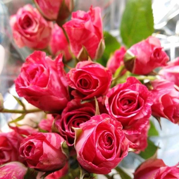 Photo taken at Trader Joe's by Michael M. on 11/10/2013-美国密歇根州安娜堡体育场大道西2398 Photo taken at Trader Joe's by Michael M. on 11/10/2013