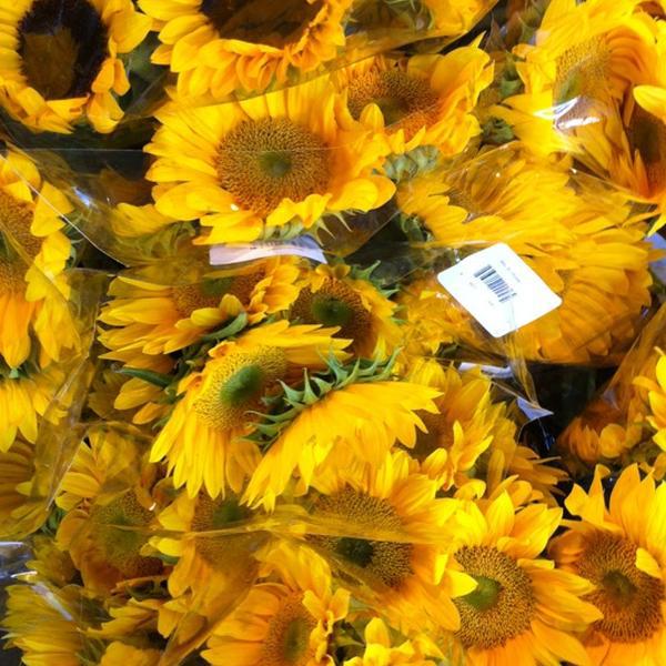 Photo taken at Whole Foods Market by Russell T. on 10/14/2012-加利福尼亚州91423 谢尔曼奥克斯 滨江中央(在冷水峡谷大道)12905号 Photo taken at Whole Foods Market by Russell T. on 10/14/2012