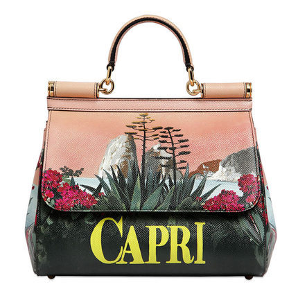 正品DolceGabbana杜嘉班纳2016新款女包真皮手提包  63I-G8X003 正品DolceGabbana杜嘉班纳2016新款女包真皮手提包  63I-G8X003