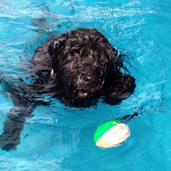 Photo taken at Trader Joe's by Alison C. on 9/23/2014