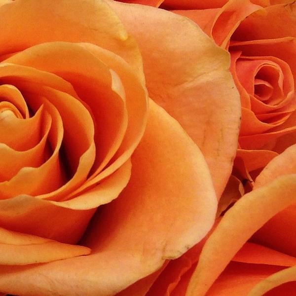 Photo taken at Trader Joe's by Brian J. on 11/23/2014