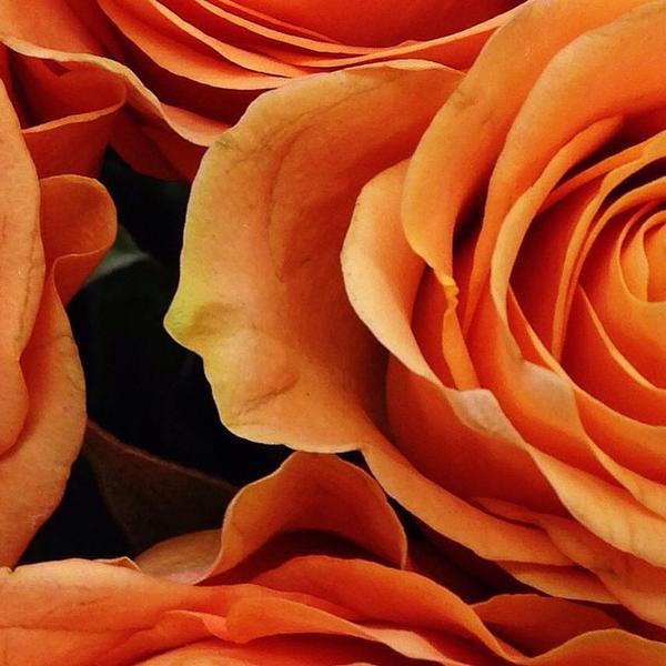 Photo taken at Trader Joe's by Brian J. on 11/23/2014