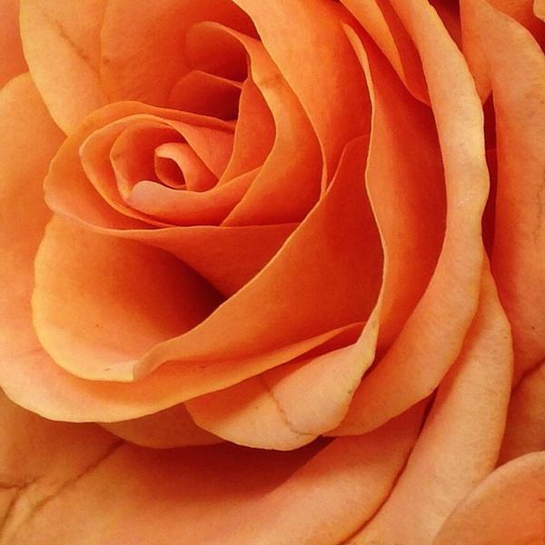 Photo taken at Trader Joe's by Brian J. on 11/23/2014