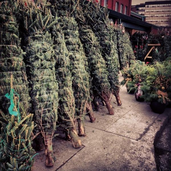 Photo taken at Loblaws by Sol C. on 11/30/2013