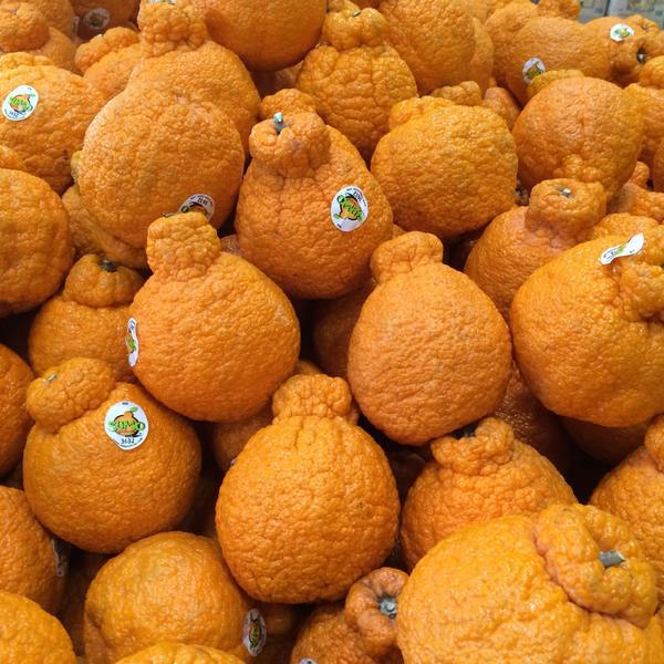 Photo taken at Whole Foods Market by Eric A. on 3/15/2015-麻萨诸塞州韦尔斯利镇华盛顿路442号 Photo taken at Whole Foods Market by Eric A. on 3/15/2015