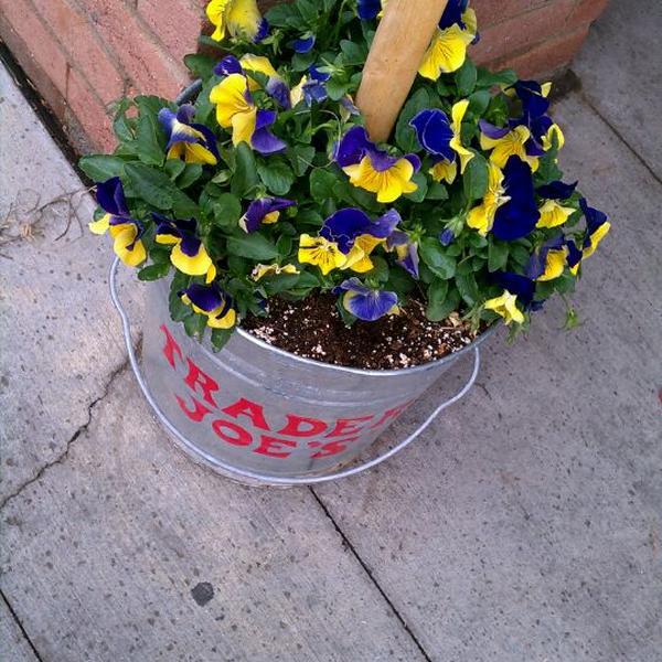 Photo taken at Trader Joe's by Bren B. on 4/14/2012