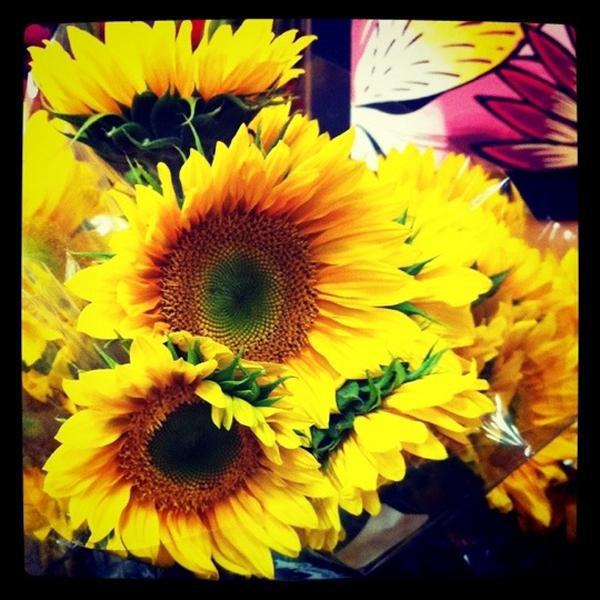 Photo taken at Trader Joe's by katrina a. on 6/7/2011-加利福尼亚州科罗纳卡波特大街2790号 Photo taken at Trader Joe's by katrina a. on 6/7/2011