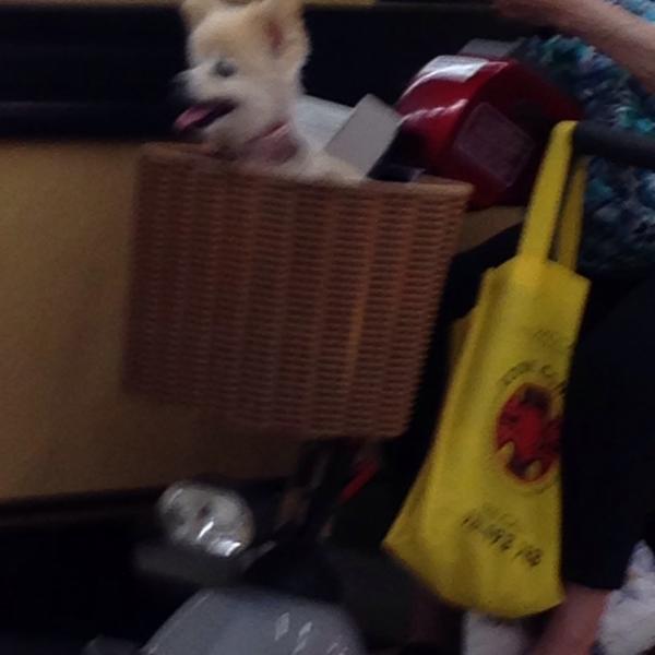 Photo taken at Coles by Margie B. on 10/12/2014