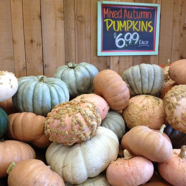 Photo taken at Trader Joe's by Linda D. on 10/4/2013-美国康涅狄格州西哈特福德新不列颠大道1489 Photo taken at Trader Joe's by Linda D. on 10/4/2013