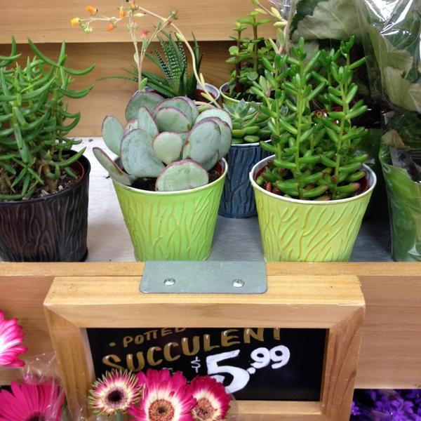 Photo taken at Trader Joe's by Jordan S. on 6/21/2014-南卡莱罗纳州哥伦比亚市森林路4516号 Photo taken at Trader Joe's by Jordan S. on 6/21/2014