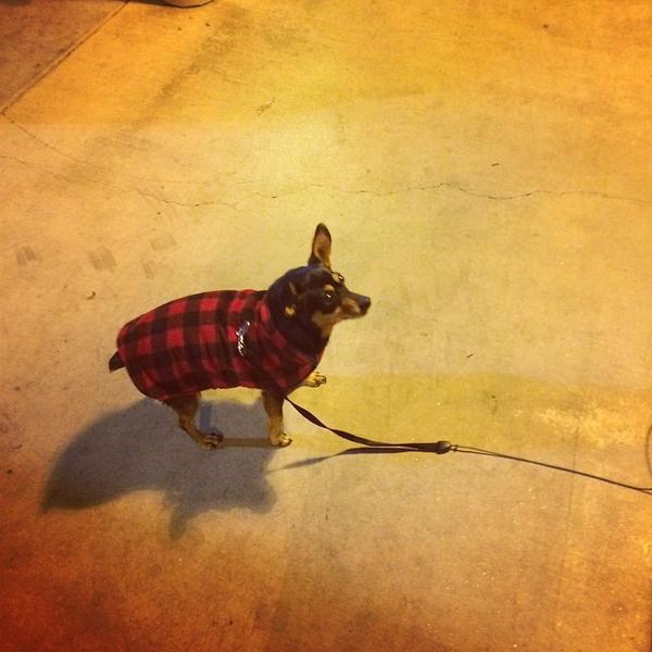 Photo taken at Trader Joe's by Charlie H. on 12/15/2014