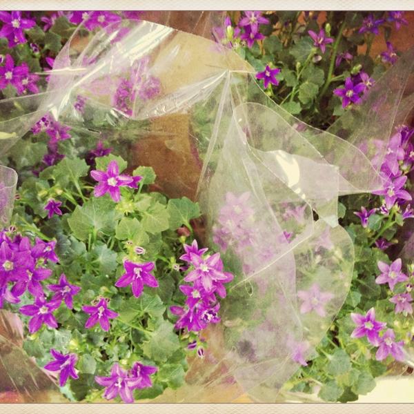 Photo taken at Trader Joe's by Rob M. on 1/20/2013