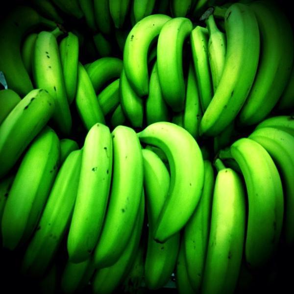 Photo taken at Trader Joe's by Lindsey M. on 4/9/2013-美国加利福尼亚州洛杉矶藤街1600 Photo taken at Trader Joe's by Lindsey M. on 4/9/2013