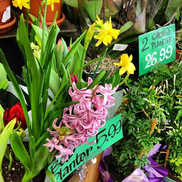 Photo taken at Trader Joe's by Tanya B. on 3/6/2012-佐治亚州桑迪斯普林斯罗斯维尔路6277 Photo taken at Trader Joe's by Tanya B. on 3/6/2012