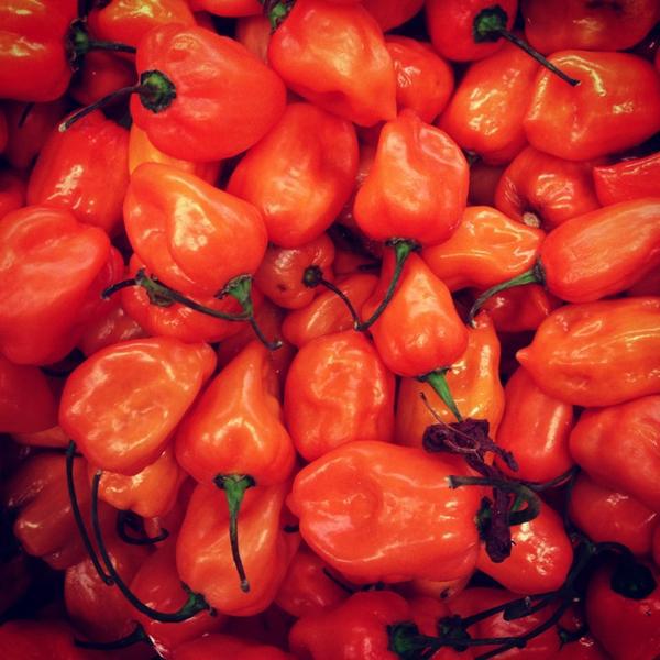 Photo taken at Whole Foods Market by Heather M. on 6/16/2013-科罗拉多科罗拉多斯普林斯学院大道7635(在集市铂) Photo taken at Whole Foods Market by Heather M. on 6/16/2013