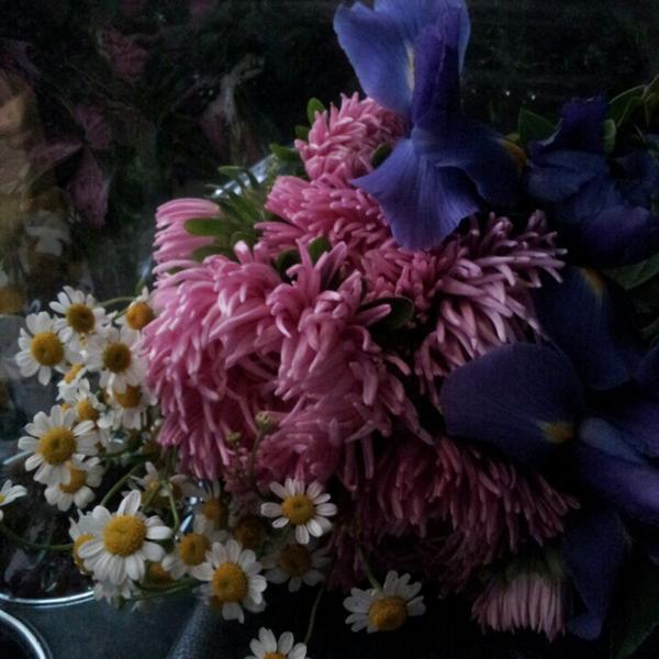 Photo taken at Trader Joe's by Andrea P. on 6/11/2013-密歇根州格罗斯波因特克切弗尔大道17028号(在圣母玛利亚大街) Photo taken at Trader Joe's by Andrea P. on 6/11/2013