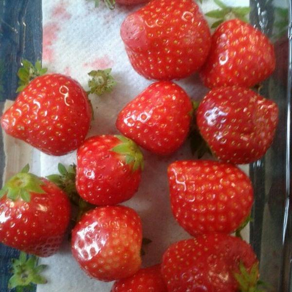 Billa图片库 Billa图片库