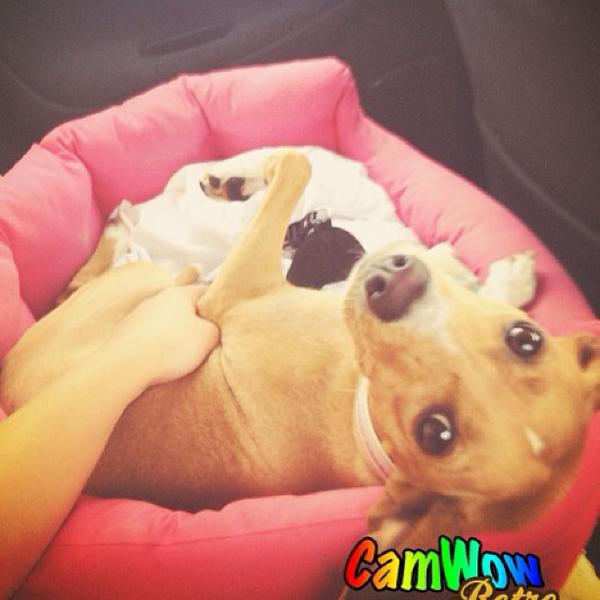 Photo taken at Bennet by Stella S. on 8/14/2013-意大利伦巴第皮耶韦菲西拉加 Photo taken at Bennet by Stella S. on 8/14/2013