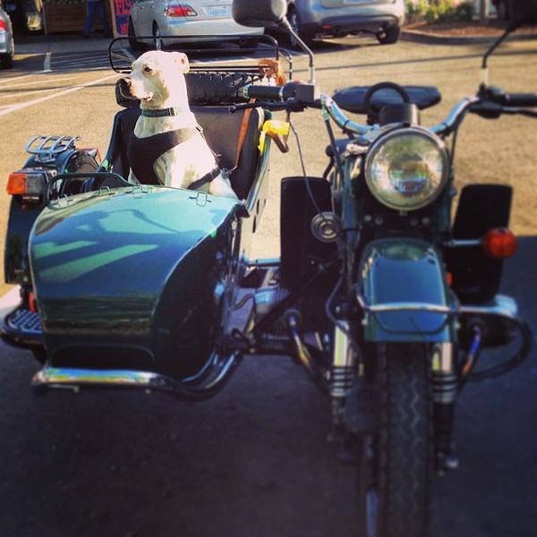 Photo taken at Trader Joe's by Andy G. on 5/2/2013-加尼福尼亚 沙加缅度福尔瑟姆大道5000(在第51街) Photo taken at Trader Joe's by Andy G. on 5/2/2013