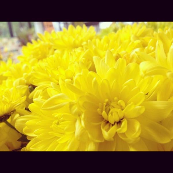 Photo taken at Trader Joe's by Jenner C. on 4/26/2012-加尼福尼亚 沙加缅度福尔瑟姆大道5000(在第51街) Photo taken at Trader Joe's by Jenner C. on 4/26/2012