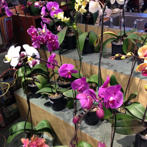 Photo taken at Whole Foods Market by Belinda T. on 3/21/2013