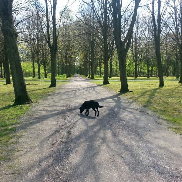 Photo taken at Beeckestijn by Martijn O. on 4/19/2014-荷兰北荷兰省费尔森瑞杰克斯路134号 Photo taken at Beeckestijn by Martijn O. on 4/19/2014