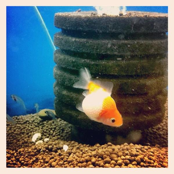 Photo taken at 홈플러스 (Home plus) by Nam T. on 5/14/2012-庆尚北道浦项77 Photo taken at 홈플러스 (Home plus) by Nam T. on 5/14/2012