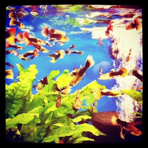 Photo taken at 홈플러스 (Home plus) by Nam T. on 5/14/2012-庆尚北道浦项77 Photo taken at 홈플러스 (Home plus) by Nam T. on 5/14/2012