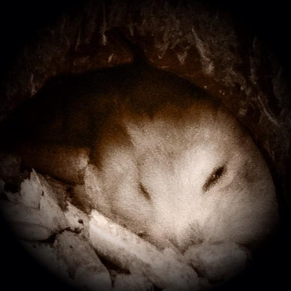 Photo taken at 홈플러스 (Home plus) by Nam T. on 5/14/2012-庆尚北道浦项77 Photo taken at 홈플러스 (Home plus) by Nam T. on 5/14/2012