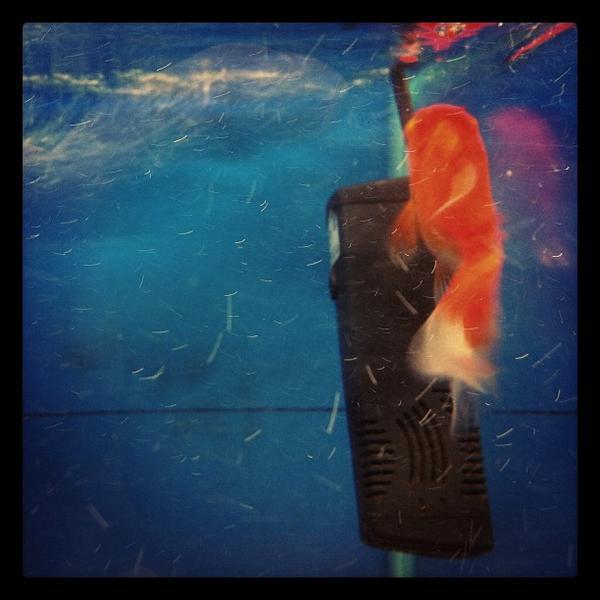 Photo taken at 홈플러스 (Home plus) by Nam T. on 5/14/2012-庆尚北道浦项77 Photo taken at 홈플러스 (Home plus) by Nam T. on 5/14/2012