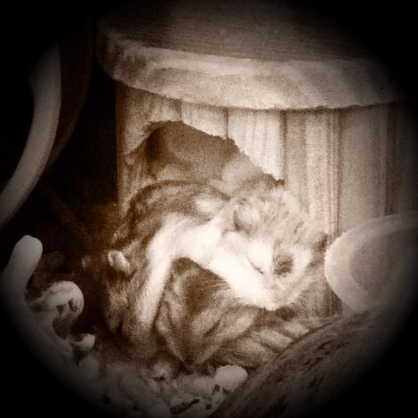 Photo taken at 홈플러스 (Home plus) by Nam T. on 5/14/2012-庆尚北道浦项77 Photo taken at 홈플러스 (Home plus) by Nam T. on 5/14/2012