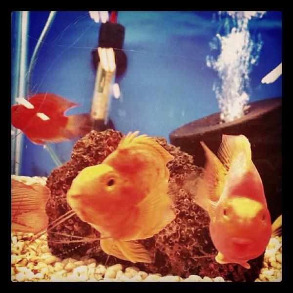 Photo taken at 홈플러스 (Home plus) by Nam T. on 5/14/2012-庆尚北道浦项77 Photo taken at 홈플러스 (Home plus) by Nam T. on 5/14/2012