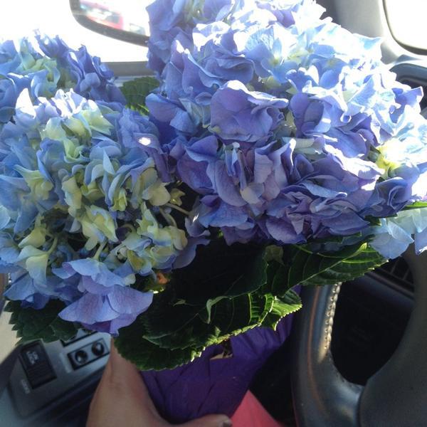 Photo taken at Trader Joe's by Yessenia J. on 4/9/2014-佛罗里达州塔拉赫西市托马斯维尔路3425号 Photo taken at Trader Joe's by Yessenia J. on 4/9/2014