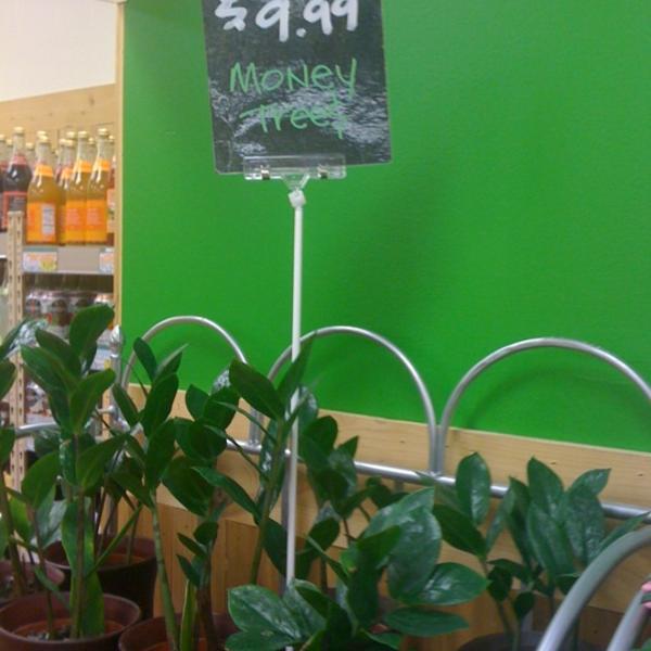 Photo taken at Trader Joe's by Paula G. on 9/29/2011