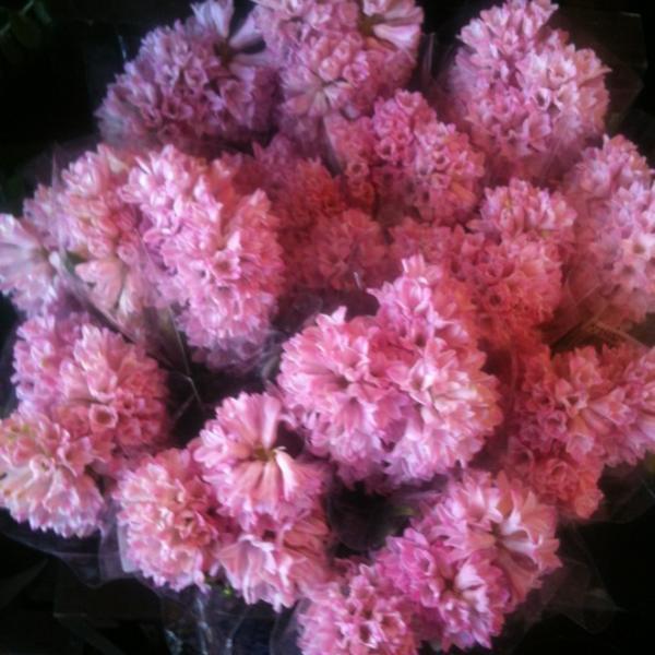 Photo taken at Whole Foods Market by Rebecca G. on 2/27/2012