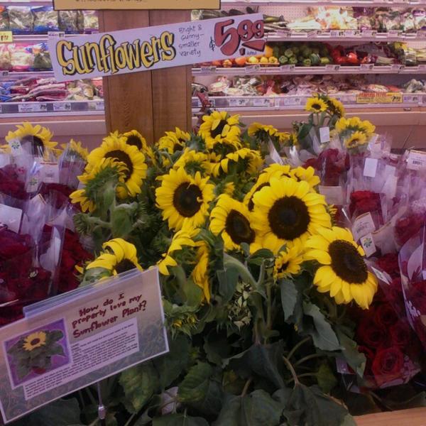 Photo taken at Trader Joe's by Dianne 