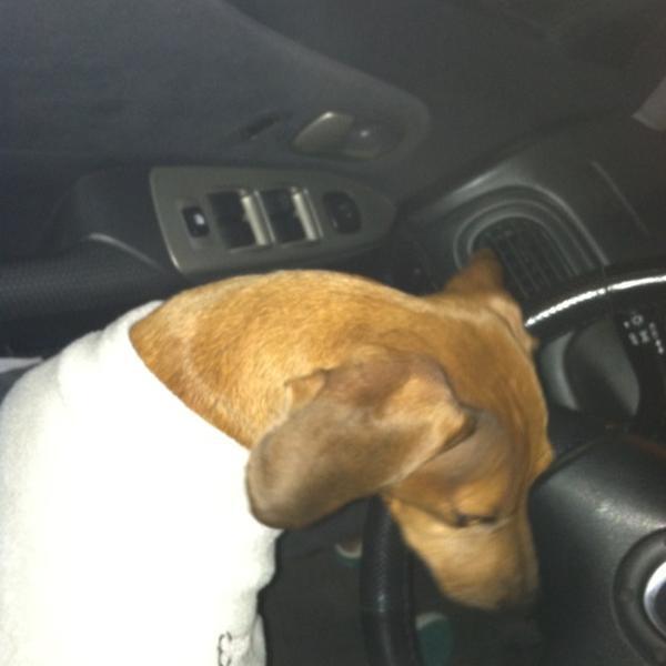 Photo taken at Trader Joe's by Curtis on 12/11/2012