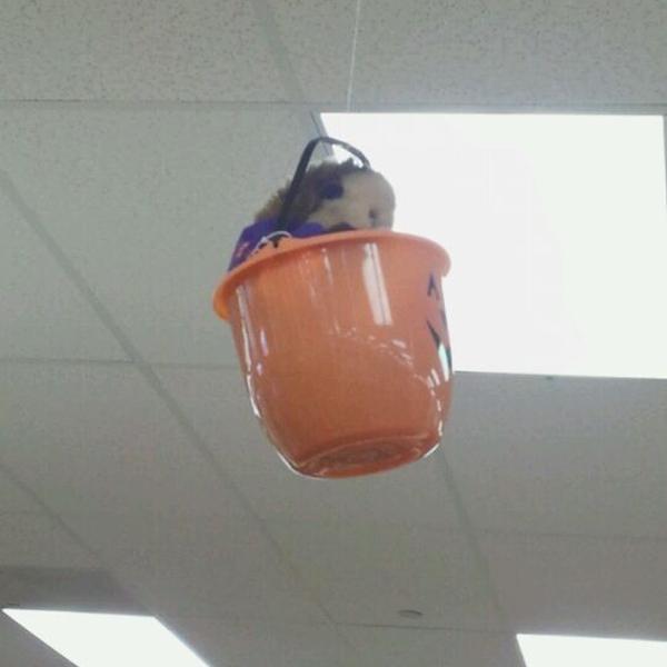 Photo taken at Trader Joe's by Andy W. on 10/10/2011-加尼福尼亚 蒙特雷穆拉斯大道570(泰勒街) Photo taken at Trader Joe's by Andy W. on 10/10/2011