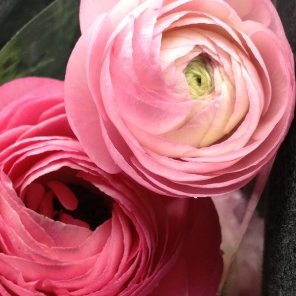 Photo taken at Trader Joe's by Kris L. on 5/7/2013-美国弗吉尼亚州莱斯顿拜伦卡梅隆大道11985 Photo taken at Trader Joe's by Kris L. on 5/7/2013