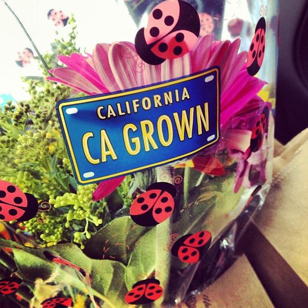 Photo taken at Trader Joe's by Mason R. on 3/31/2012-美国弗吉尼亚州莱斯顿拜伦卡梅隆大道11985 Photo taken at Trader Joe's by Mason R. on 3/31/2012