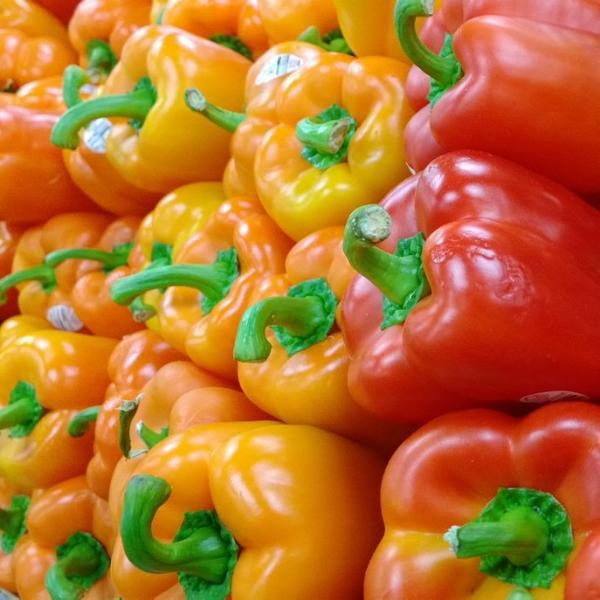 Photo taken at Trader Joe's by Tyler S. on 9/15/2013